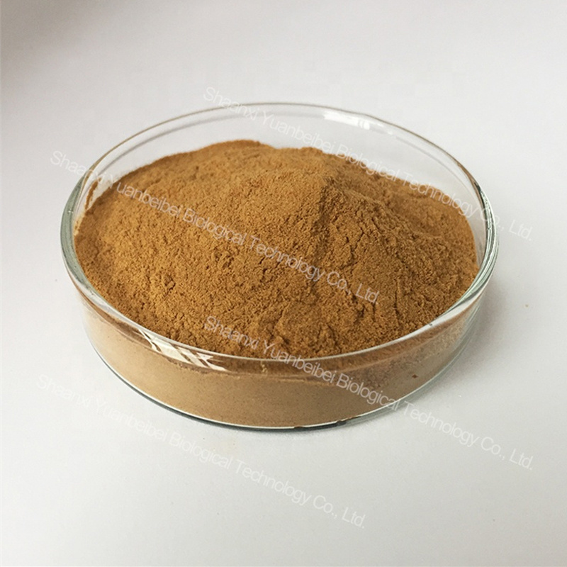 Low Price 30% Polysaccharides Powder Agrocybe Cylindracea Tea Tree Mushroom Extract