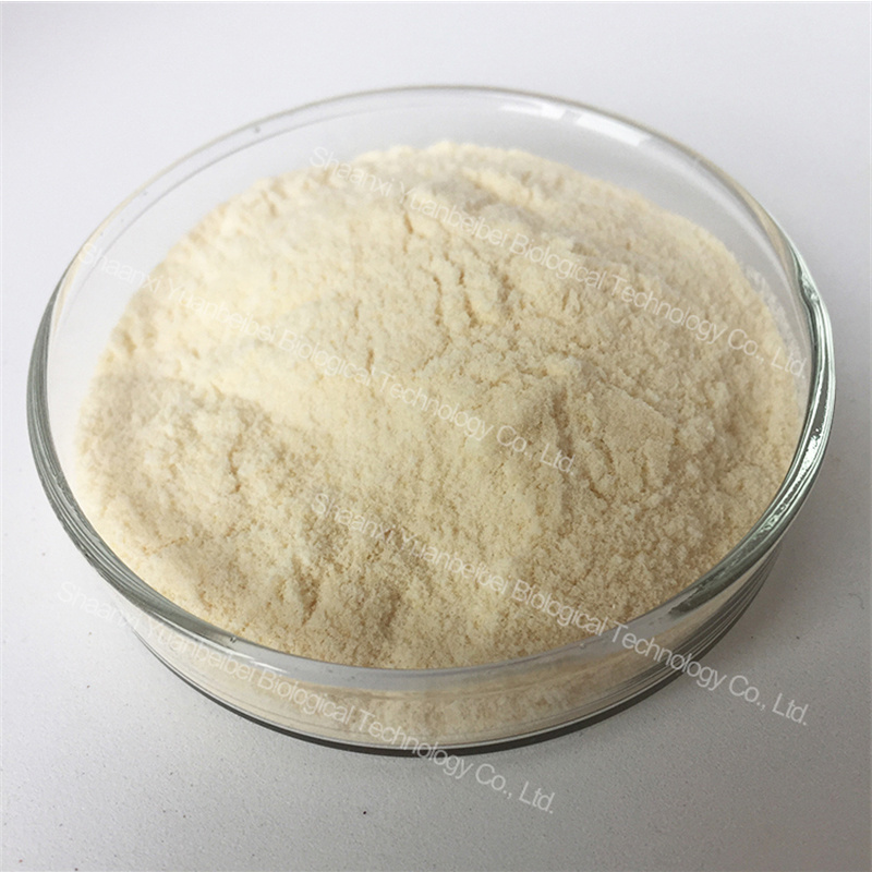 Bulk Pure Natural Bitter Orange Citrus Aurantium Peel Extract 90% Hesperidin Powder