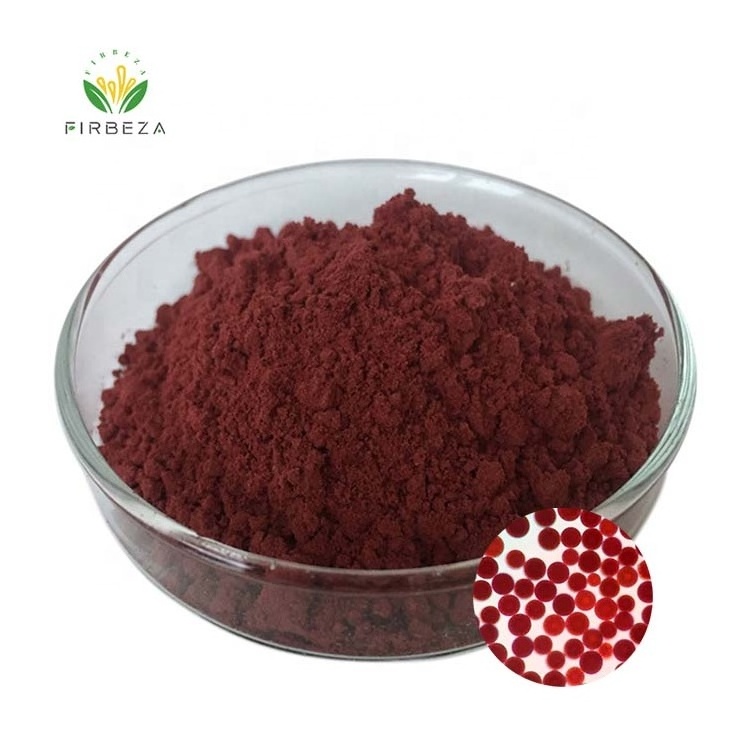 Wholesale Price Pure Organic Red Algae Haematococcus Pluvialis Extract 10% Astaxanthin Powder