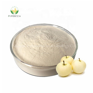 Certified Manufacturer Supply Snow Pear Powder Natural Instant Pear Juice Extract Powder