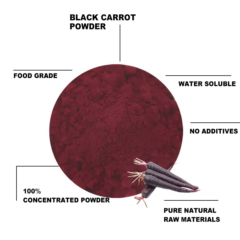 Firbeza Supply 100% Black Carrot Extract Powder Organic Black Radish Juice Concentrate Powder