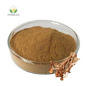 Low Price 30% Polysaccharides Powder Agrocybe Cylindracea Tea Tree Mushroom Extract