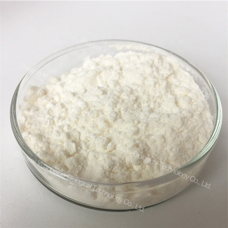 CAS 87-99-0 Wholesale Competitive Price Bulk Organic Food Grade 99% Xylitol Powder