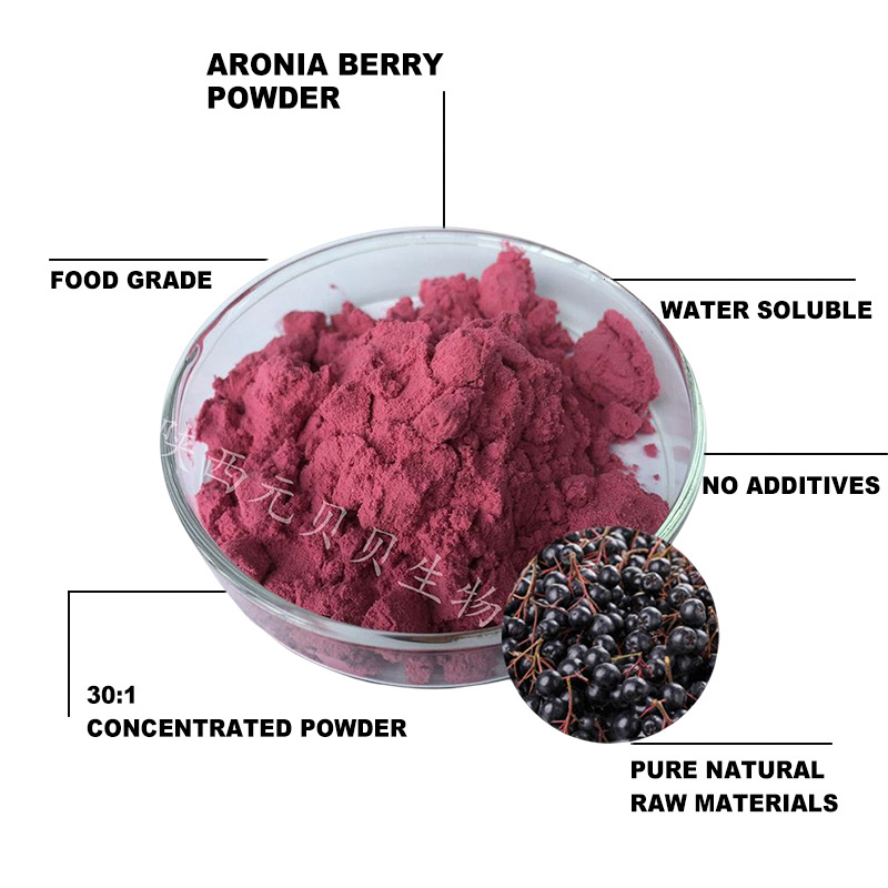 OEM ODM Aronia Berry Powder Wholesale Price Black Chokeberry Aronia Berry Extract Juice Powder