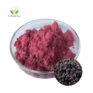 OEM ODM Aronia Berry Powder Wholesale Price Black Chokeberry Aronia Berry Extract Juice Powder