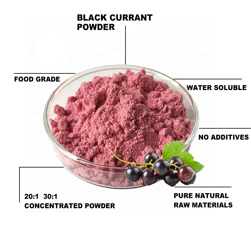 Bulk Price 20:1 Black Currant Extract Powder Pure Organic Blackcurrant Fruit Juice Powder