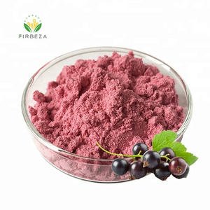 Factory Supply Blackcurrant Powder 100% Natural Instant Black Currant Extract Juice Powder