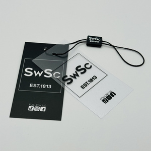 Luxury Frosted PVC hang tag custom paper Hang Tags For Clothing Own Logo,Clothing hang tag labels with free design