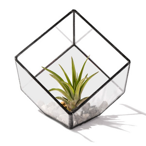 Glass Terrarium Antique Diamond Black glass terrarium home decorative planters irregular Vintage Style Glass Geometric terrarium