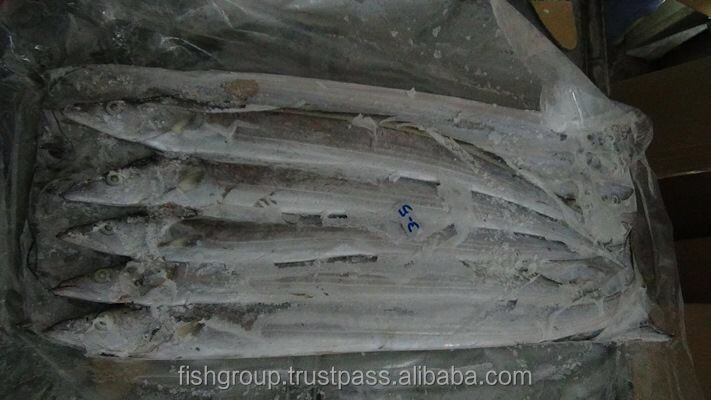 Frozen Fish Fresh Tilapia Supplier Block Bulk Style Packaging Package Weight Lbs Shelf Origin Hook Caught Ribbonfish Whole Round