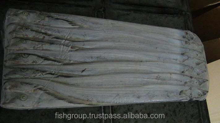 Frozen Fish Fresh Tilapia Supplier Block Bulk Style Packaging Package Weight Lbs Shelf Origin Hook Caught Ribbonfish Whole Round