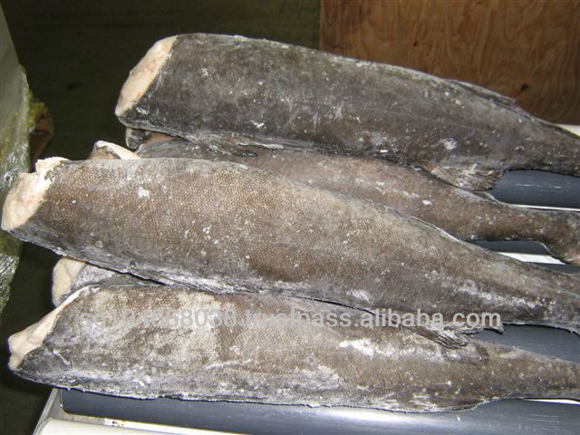 Cod and Dried Stock Fish Sizes Norway Dried Stockfish in Cuts Pieces in 30 45 Kg Bales Max Frozen Black Cod or Sablefish HG