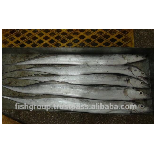 Frozen Fish Fresh Tilapia Supplier Block Bulk Style Packaging Package Weight Lbs Shelf Origin Hook Caught Ribbonfish Whole Round