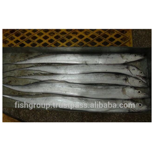 Frozen Fish Fresh Tilapia Supplier Block Bulk Style Packaging Package Weight Lbs Shelf Origin Hook Caught Ribbonfish Whole Round