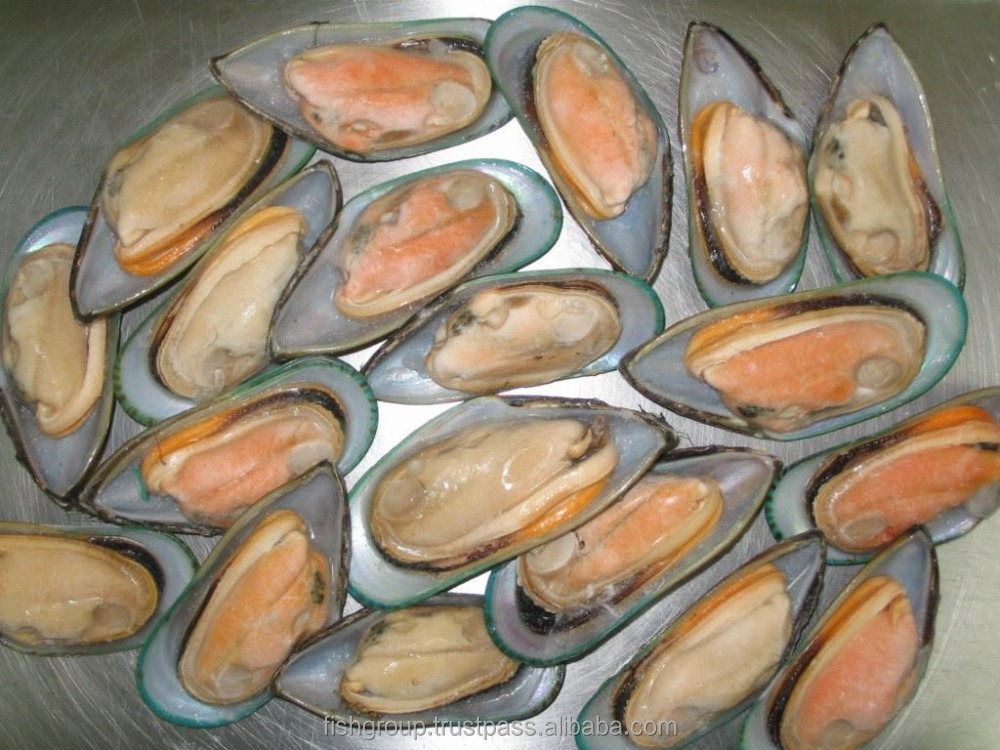 Mussels Blue Mussel Shells FROZEN Yellow Bag Style Time Green Fresh Mussels Oyster Half Shell With 1kg/box x 12/ctn Packing