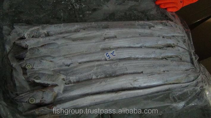 Frozen Fish Fresh Tilapia Supplier Block Bulk Style Packaging Package Weight Lbs Shelf Origin Hook Caught Ribbonfish Whole Round