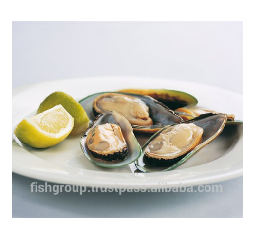 Mussels Blue Mussel Shells FROZEN Yellow Bag Style Time Green Fresh Mussels Oyster Half Shell With 1kg/box x 12/ctn Packing