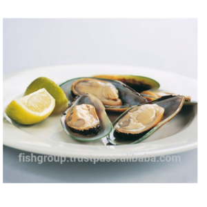 Mussels Blue Mussel Shells FROZEN Yellow Bag Style Time Green Fresh Mussels Oyster Half Shell With 1kg/box x 12/ctn Packing