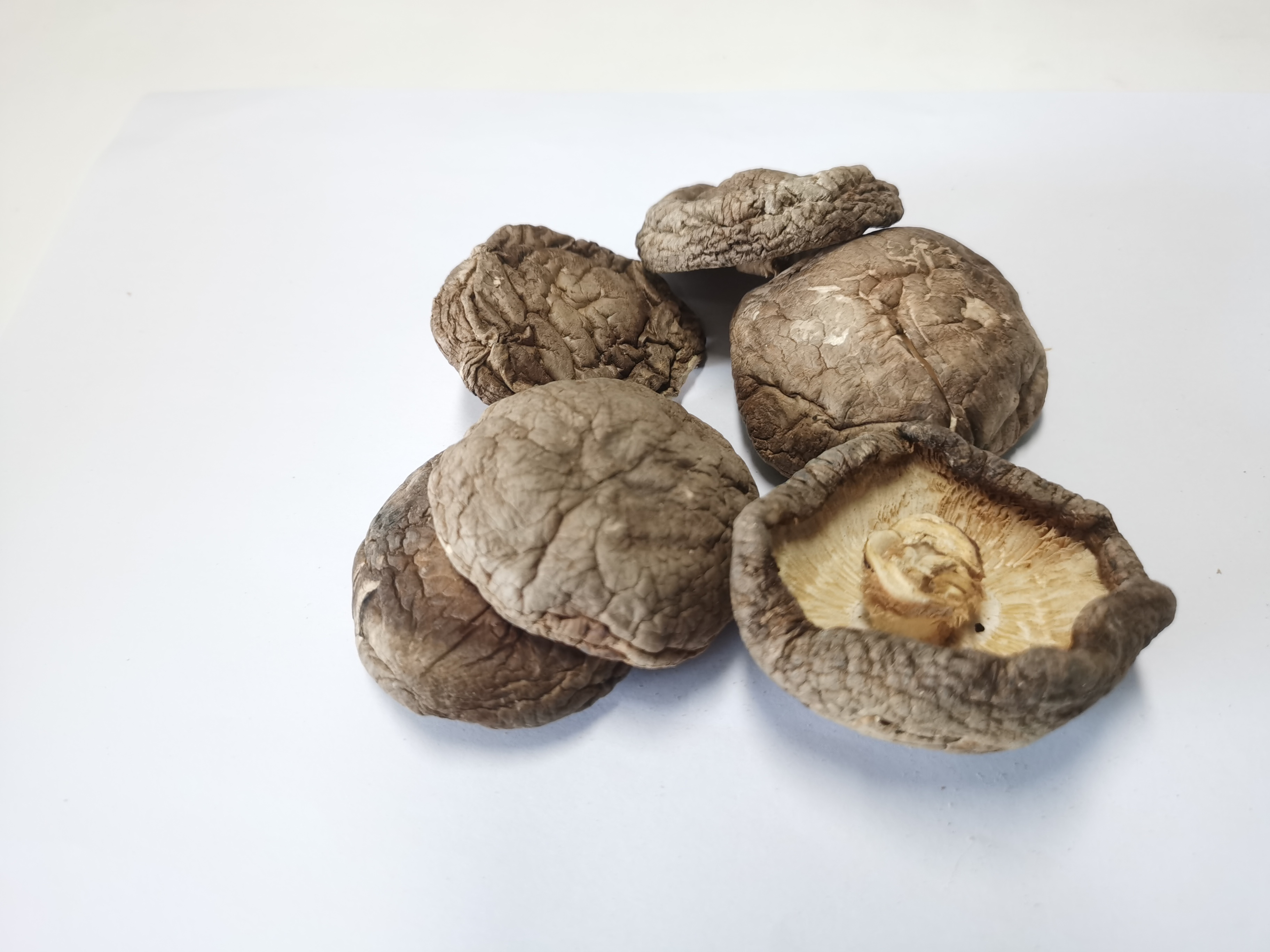 Wholesale Good Price Dried Mushroom Shiitake Dehydrated Shiitake Mushroom