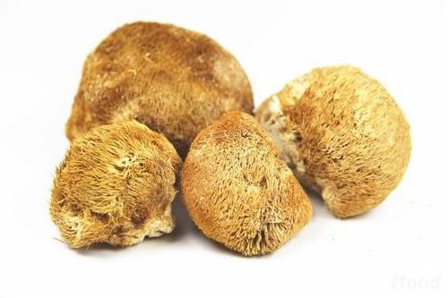 Organic Hericium Erinaceus Mushroom Hericium Erinaceus Dried Wild Hericium Erinaceus