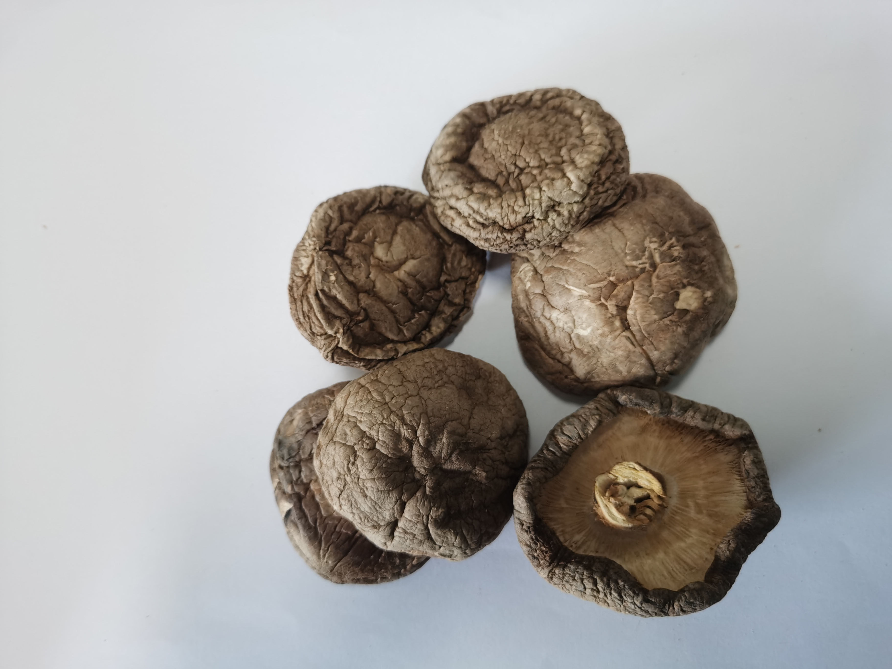 Wholesale Good Price Dried Mushroom Shiitake Dehydrated Shiitake Mushroom