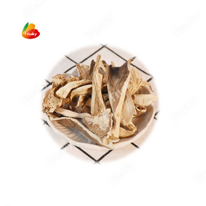 China Dehydrated Dried Oyster Mushroom Dried Shiitake Mushroom Dried Oyster Mushroom