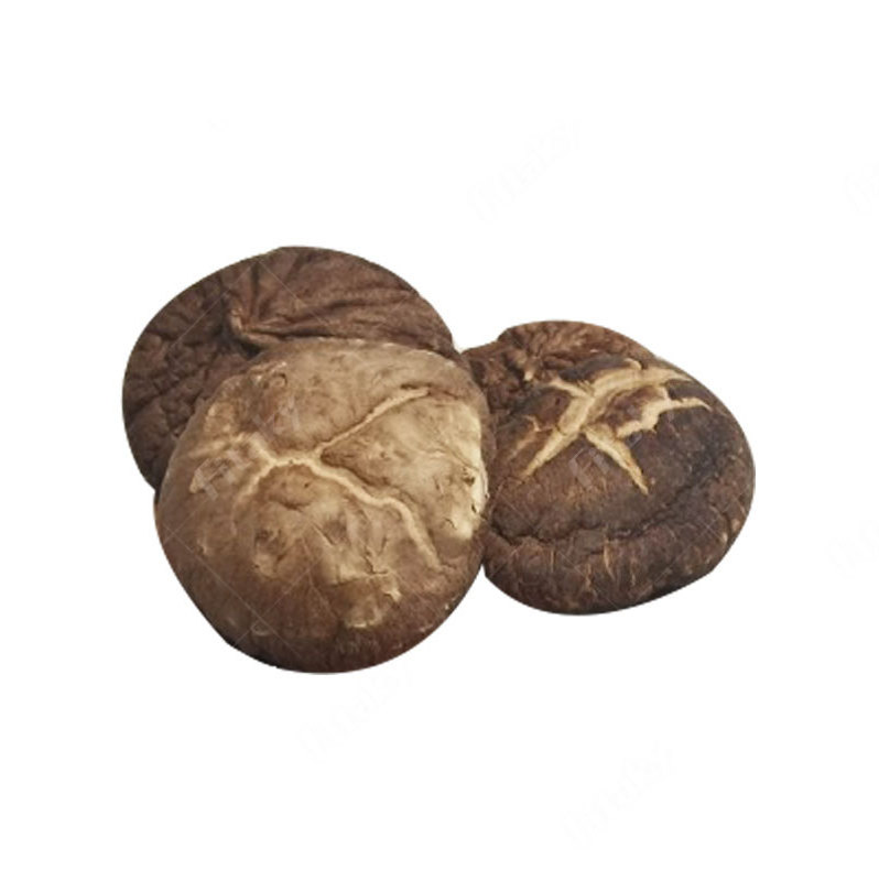 Hot Selling Pure Chinese Shitake Mushroom Dried Shiitake