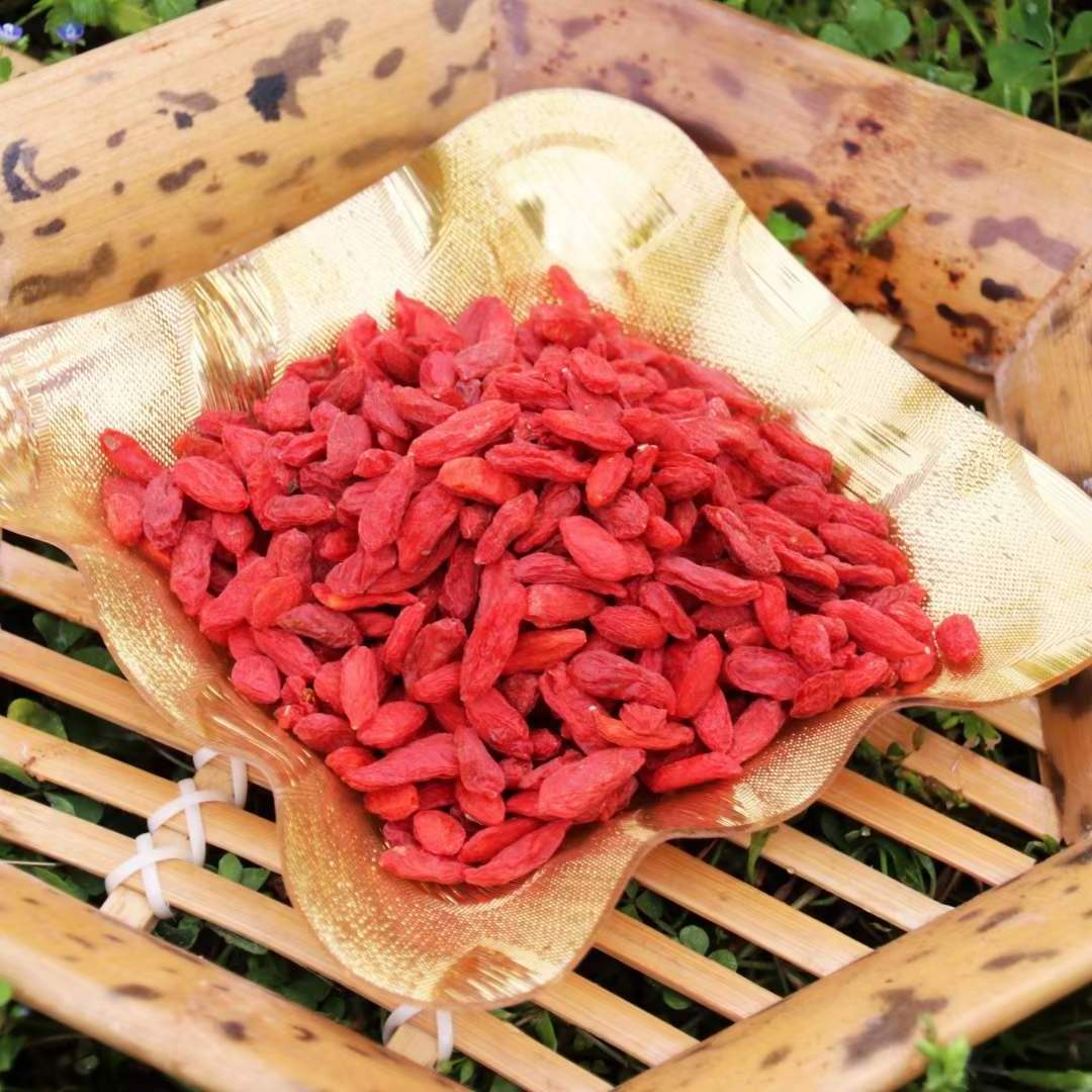 High Quality Red Goji Berries Organic Goji Berries Cheap Price Goji Berry