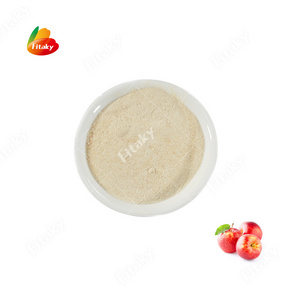 Hot Selling High Quality Apple Powder Apple Juice Powder Green Apple Powder