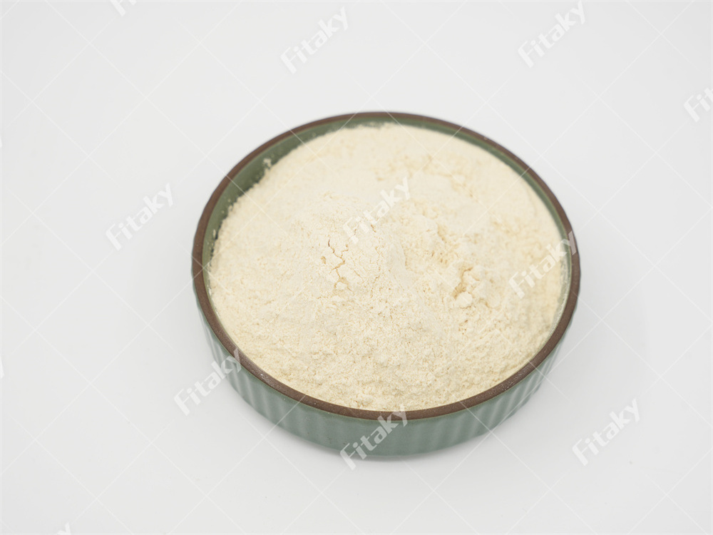 New Dehydrate Vegetables Food Garlic Powder Sealed Chinese Powder Garlic