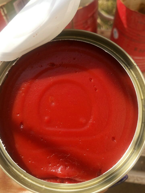 Good Quality Yummy Tomato Ketchup Bulk Tomato Paste Cheap Price Organic Tomato Paste