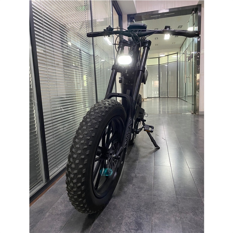 New Design 20inch Fat Tire Electric Bike 750W 48V Mountain Bike Electric Bicycle Off Road Emtb for Adult