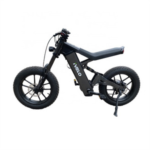 New Design 20inch Fat Tire Electric Bike 750W 48V Mountain Bike Electric Bicycle Off Road Emtb for Adult