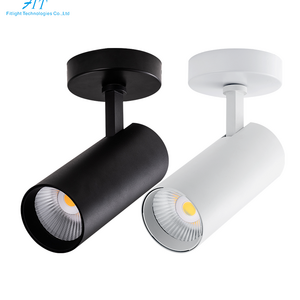 Fixture For Shop/Supermarket Anti-glare Dimmable Spotlight 15W Led Cob Track Light