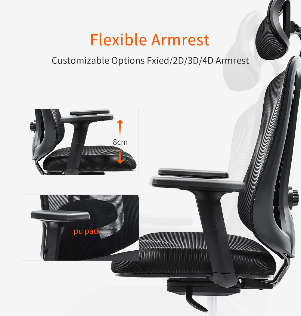 Modern High-Back Ergonomic Office Chair Adjustable Headrest 3D Lumbar Support Recliner Mesh Computer Lift Chairs