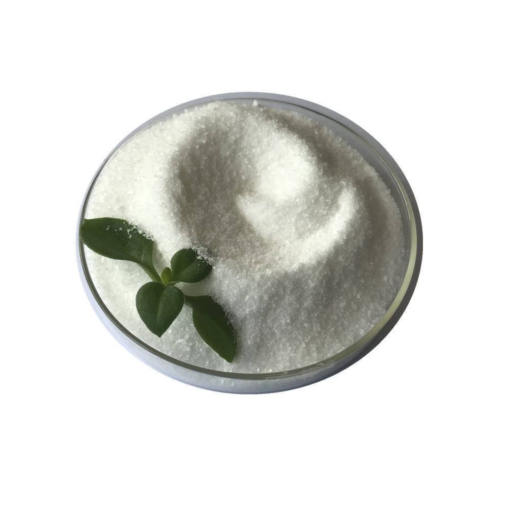 Cas 527-07-1 white 98% Sodium Gluconate/Gluconic Acid Sodium Salt as set retarder concrete admixture