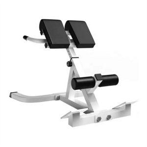 Roman Stool Indoor Roman Bench Home Waist And Abdominal Muscle Training Fitness Bench Free Installation Foldable Goat Stand