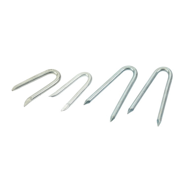 Dingzhou Five-Star Metals galvanised u type pin steel nail shaped fence staple u type nails for artificial grass ground 20 mm