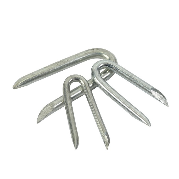 Dingzhou Five-Star Metals galvanised u type pin steel nail shaped fence staple u type nails for artificial grass ground 20 mm