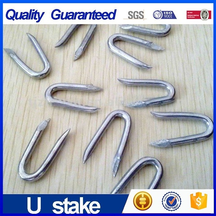 Chinese suppliers High quality wholesale price  Type Metal Stainless Steel High quality u type nails /U shaped fence staple