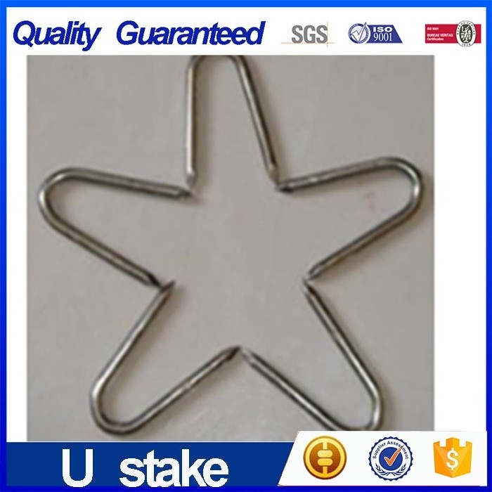 Chinese suppliers High quality wholesale price  Type Metal Stainless Steel High quality u type nails /U shaped fence staple