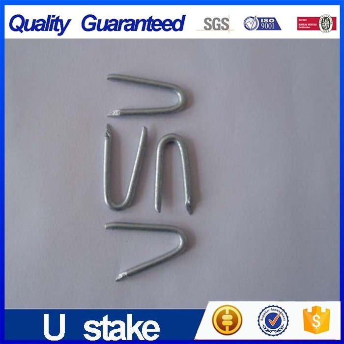 Chinese suppliers High quality wholesale price  Type Metal Stainless Steel High quality u type nails /U shaped fence staple