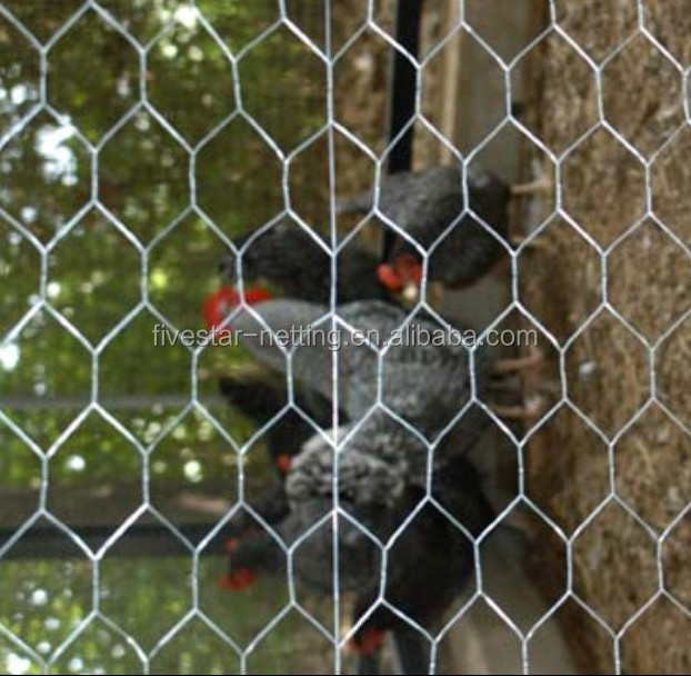 chicken fencing wire netting 3/4 inches hexagonal galvanized steel wire mesh