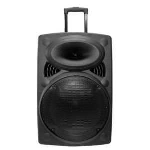 Karaoke Machine speaker Adults Kid Wireless Microphones Portable Bluetooth Singing flashing LED light PA System Speaker