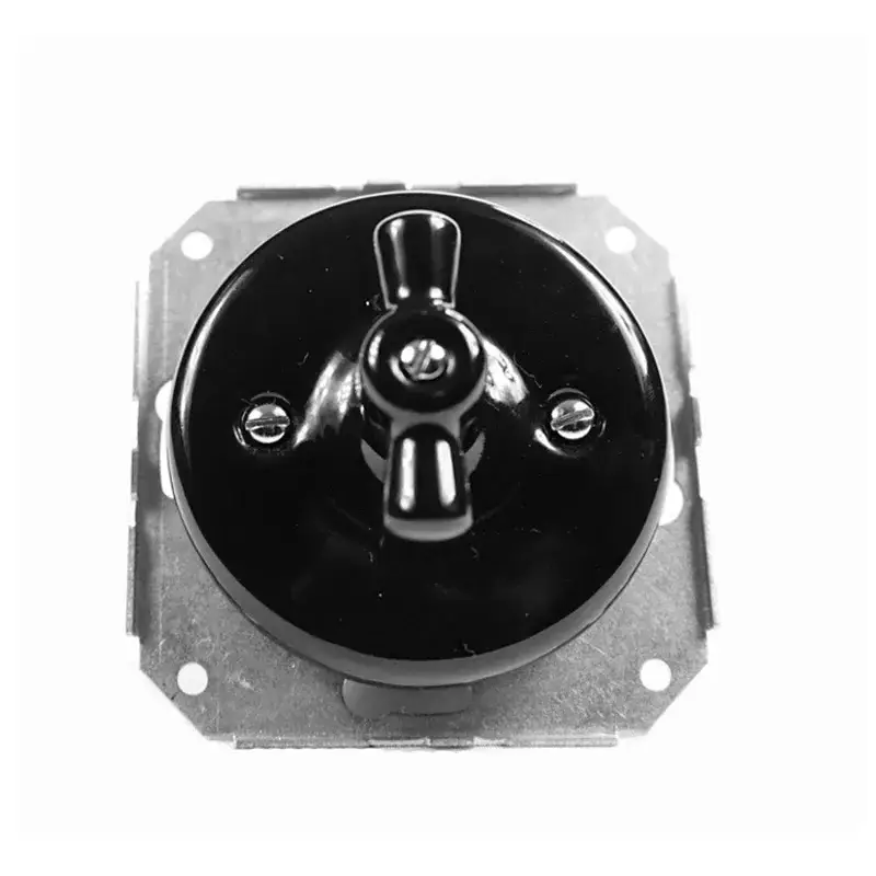 Borgerman Wholesale flush homestay hotel lobby switch retro circular exposed ceramic single switch knob switch