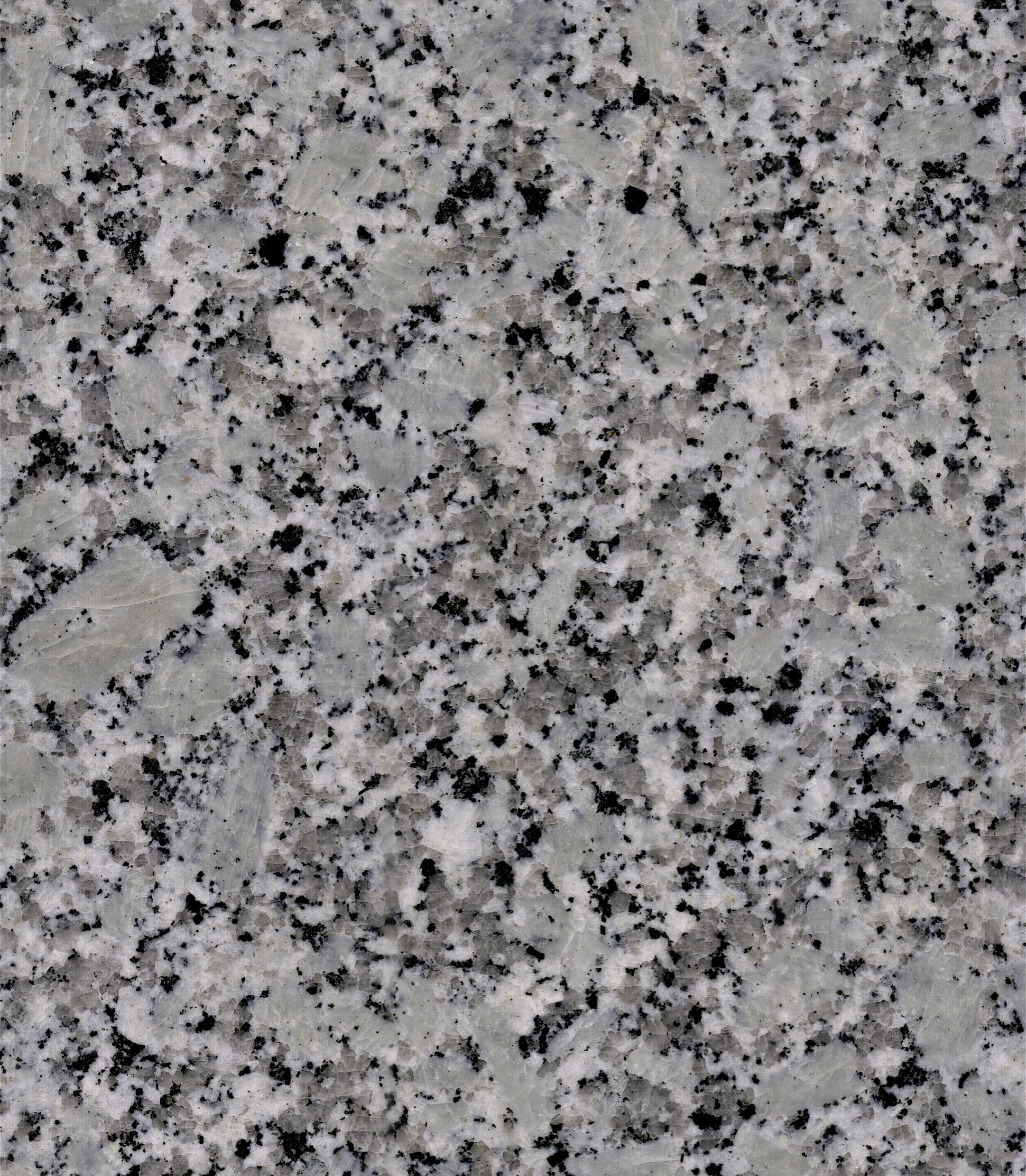 Natural Slate Floor Tile Gray Granite Board with Competitive Price