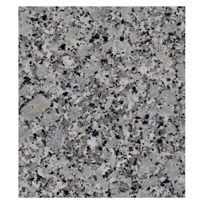 Wholesale high quality natural stone Large White Flower granite dark modern design style granite