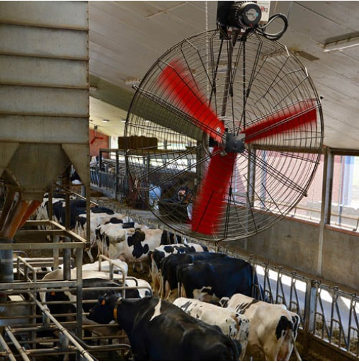 Cooling Fan Nylon Blade Factory Directly Sales Dairy Barns Cooling Fan dairy Cow Farm House Cooling Fan