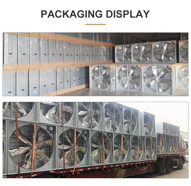 Mining Greenhouse Chicken Poultry Farm House  Industrial Factory Ventilation Exhaust Fan price