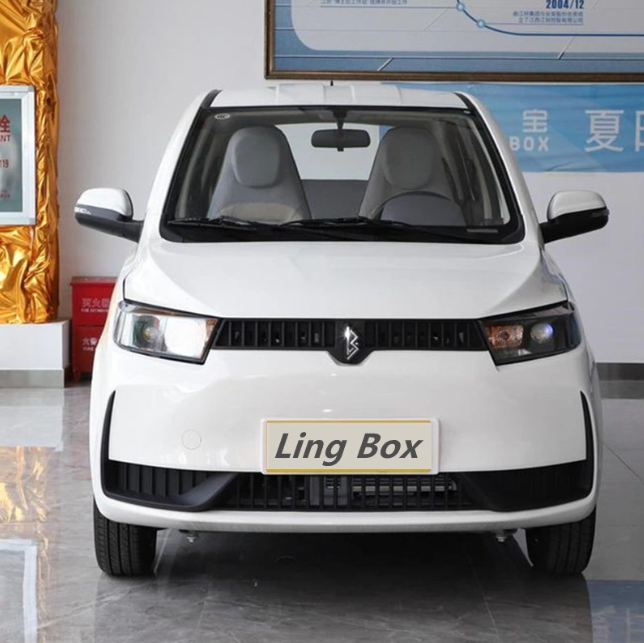 2022 Electric Car Ling-Box Coco High Speed Lithium Battery Family Used Car